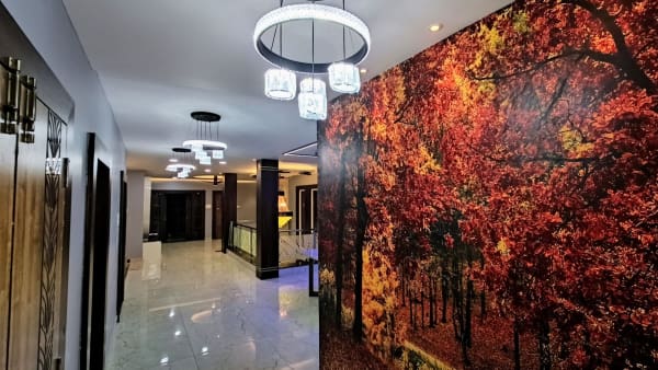 patrapada-livingroom4